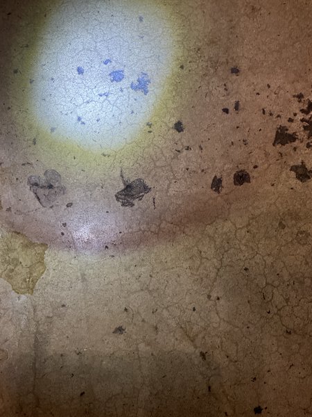 Pitting in front of dishwasher