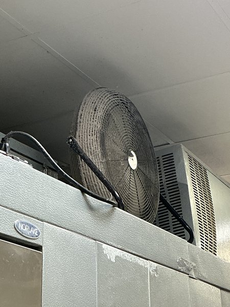 Fan